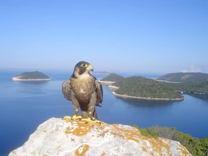 Dragovoda Bay Убли Экстерьер фото